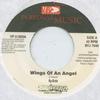 7-дюймовая пластинка KY ENIE - Wings Of An Angel BYJ7046 VP 2005 US Регги, Ска и Даб