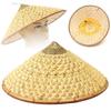 Peigu Oriental Vietnamese Chinese Asian Straw Cone Shaped Fishing Sun Rice Bamboo Hat
