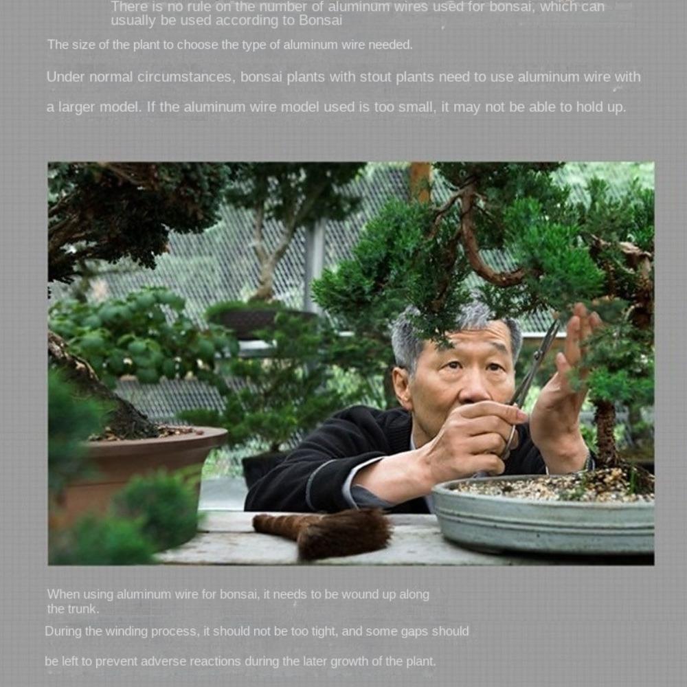 1/1.5/2/2.5/3mm Bonsai Wire Aluminum Garden Accessories Black Bonsai Training Wire