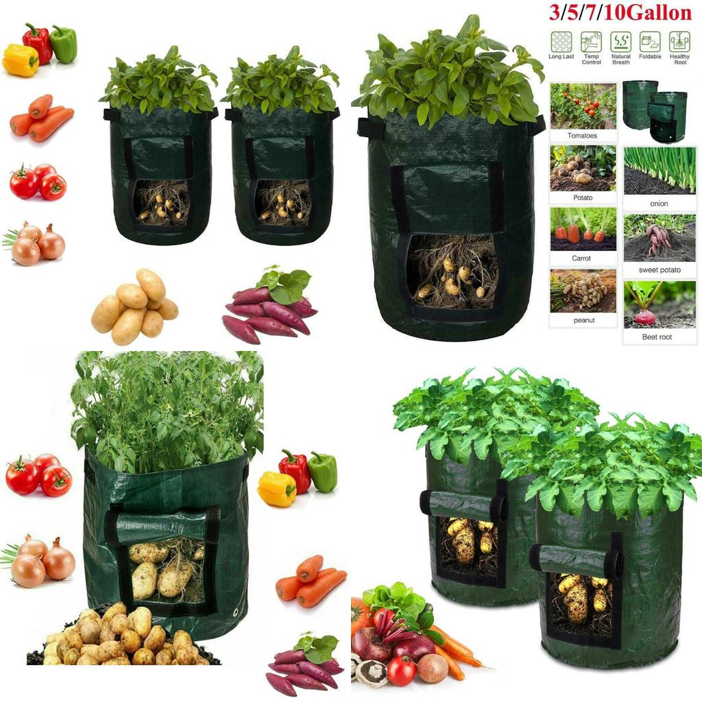 Versatile And Sturdy 10 Gallon Reusable Bags For Growing Fresh Produce Anywhere