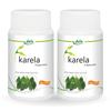 Капсулы Jain Karela 60 таблеток x 2 упаковки Натуральные аюрведические экстракты для поддержания здорового уровня сахара в крови и очищения крови