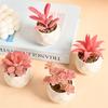 Mini Artificial Succulent Plants Set Realistic Fake Cactus Bonsai for Indoor Home Desktop Low Maintenance Lifelike Ornament