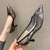 Sexy Temperament Pointed Toe Stiletto Heel French Lace Women's Mesh High Heels