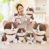 Cute Puppy Dog Lucky Dog Doll Plush Toy Husky Doll Children's Rag Doll Birthday Gift