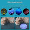 Wood's Lamp UV Flashlight for Cat Ringworm Detection with USB Charging, Fungal Fluorescence, and Money Verification