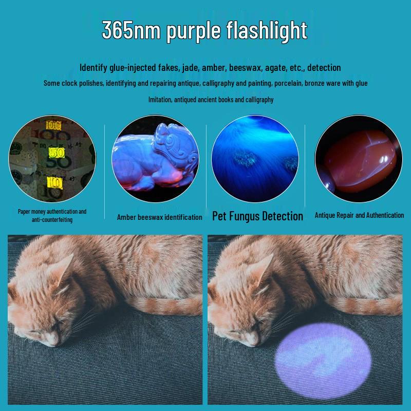 Wood's Lamp UV Flashlight for Cat Ringworm Detection with USB Charging, Fungal Fluorescence, and Money Verification