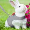 Polyester Bunny Harness Leash Adjustable Size Bowtie Training Rope  Small Pets Use