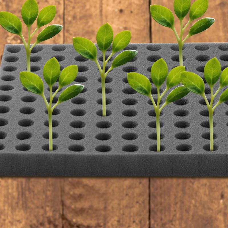 Грязеустойчивый рассадный спонж Беспочвенный пенопластовый рассадный субстрат Спонж для семян Кубик для выращивания Квадрат для выращивания Гидропоника Садовые принадлежности