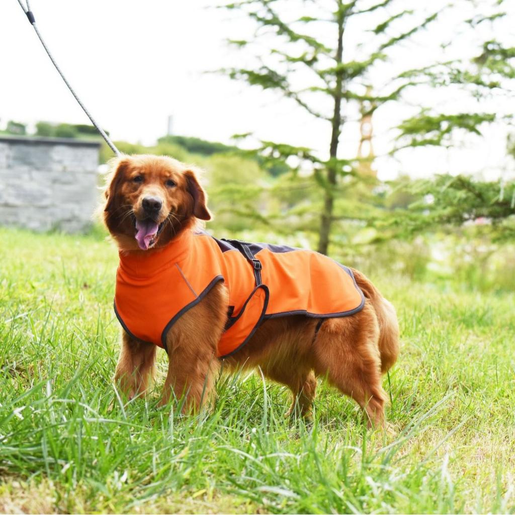 Уличная Светоотражающая Одежда для Больших Собак, Жилет для Собак, Одежда для Домашних Животных для Крупных Собак, Куртка, Хлопковое Пальто для Собаки Золотистый Лабрадор