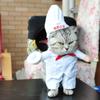 Pet Dog Costume Pirate Suit Cosplay Costume Small And Medium Dog And Cat Transformation Dress Funny Dress Puppy Costume Supplies