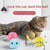 Щебечущий мячик для кошки Интерактивная игрушка-мячик с кошачьей мятой со звуком птиц, лягушки, сверчков, активируемая при касании, игрушка для упражнений для котят для домашних кошек