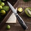 3.5 Inch 67 Layers Damascus Steel Kitchen Fruit Knives Slicing Paring Knife Cutter
