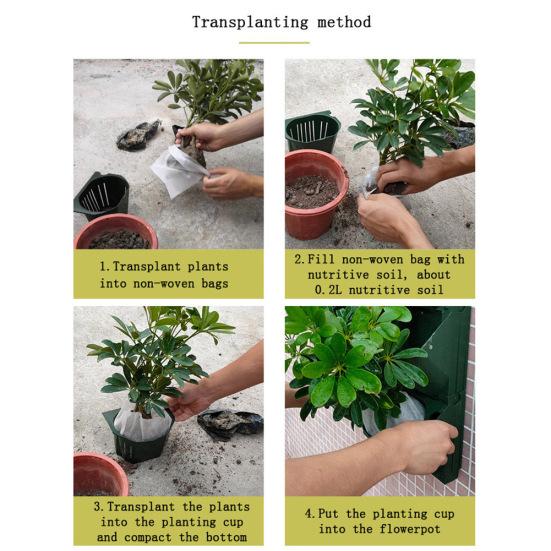 Настенный цветочный горшок с несколькими отверстиями, контейнер для сада, бонсай, суккуленты, плантатор