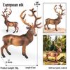 Realistic African Wildlife Lion Toy Set: Male, Female, and Mountain Lion for Children's Cognitive Learning
