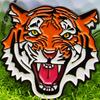 Маркер для мячей для гольфа Tiger с зажимом для шляпы, магнитный металлический маркер для мячей для гольфа, зажим для шляпы, аксессуар для гольфа для мужчин и женщин