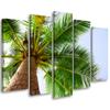 Картина из пяти частей, печать на холсте Palm