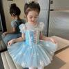 Frozen Elsa-Inspired Ballet Skirt: Summer 2025 New Girls' Dance Costume
