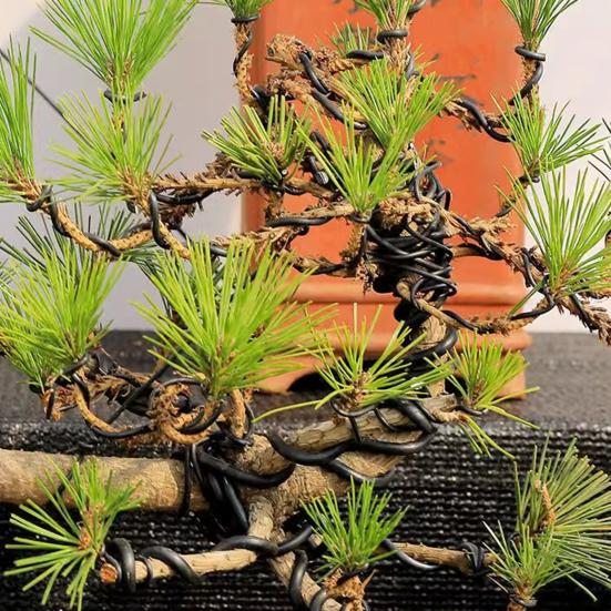 Алюминиевая проволока для тренировки бонсай 2,0 мм Алюминиевая проволока с покрытием 16 футов/33 фута Проволока для бонсай для тонкого контроля ствола и ветвей