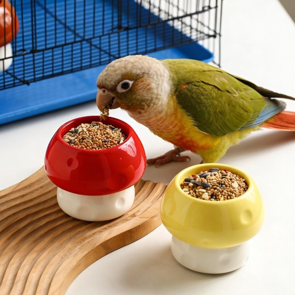 Ceramic Parrot Food Bowl Large Capacity Feeding Station Bird Water Bowl Balcony Use