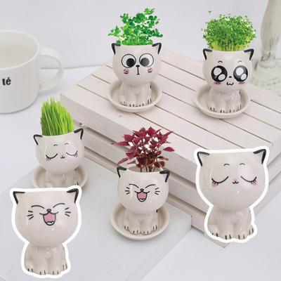 Уникальный горшок для растений, декоративный, универсальный, экологически чистый