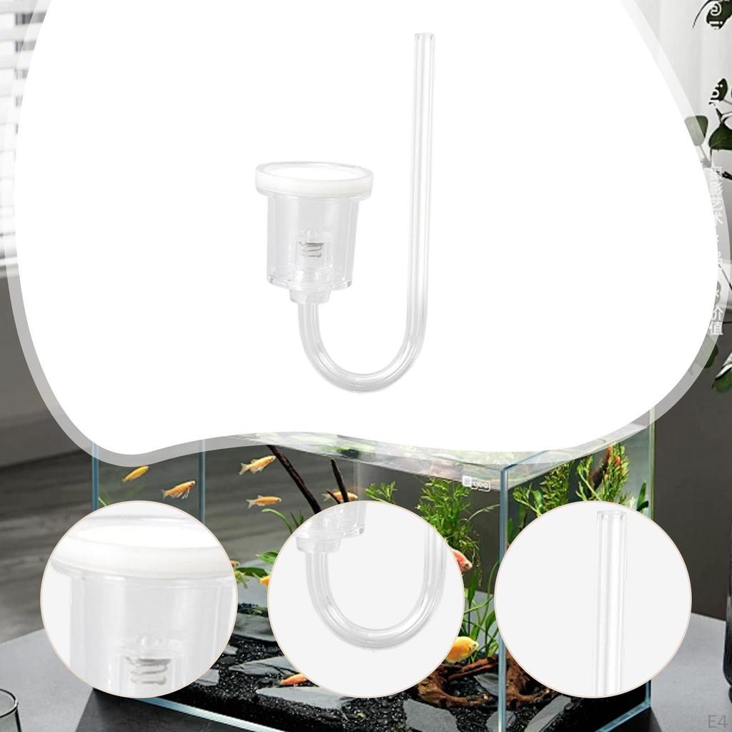 Акриловые аксессуары Легкая система CO2 для аквариума для водных растений Настольное фото Офис