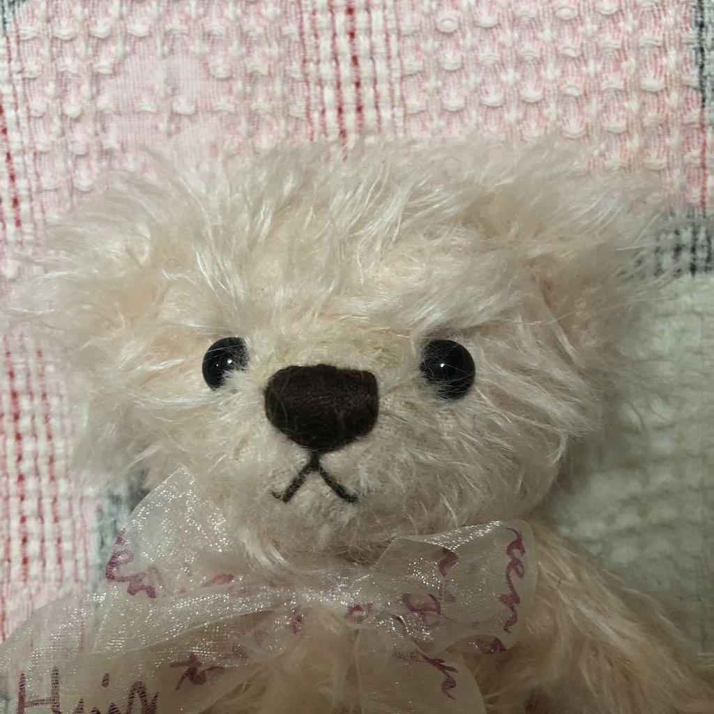 [USED] Heisei Retro 1992 Huis Ten Bosch Teddy Bear, Limited Edition, Used