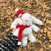 Cartoon Cartoon Plush Keychain Soft Plush Doll Key Ring Cute Christmas Rabbit Pendant  Friends
