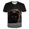 Summer Round Neck 3D Print Mysterious Cat Pattern Top Fashionable Casual Short Sleeved Men's T-shirts