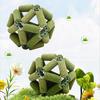 Catnip Toys Natural Silvervine Stick Cage Ball Catnip Ball Toy Pet Teeth Cleaning Molar Tool Cat Chew Toy for Indoor Cats