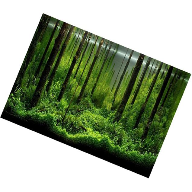 Фон для аквариума 10 галлонов Аквариумный постер Аквариумный лесной фон Картинка Фон для аквариума ПВХ Самоклеящийся Подводный лесной аквариумный постер