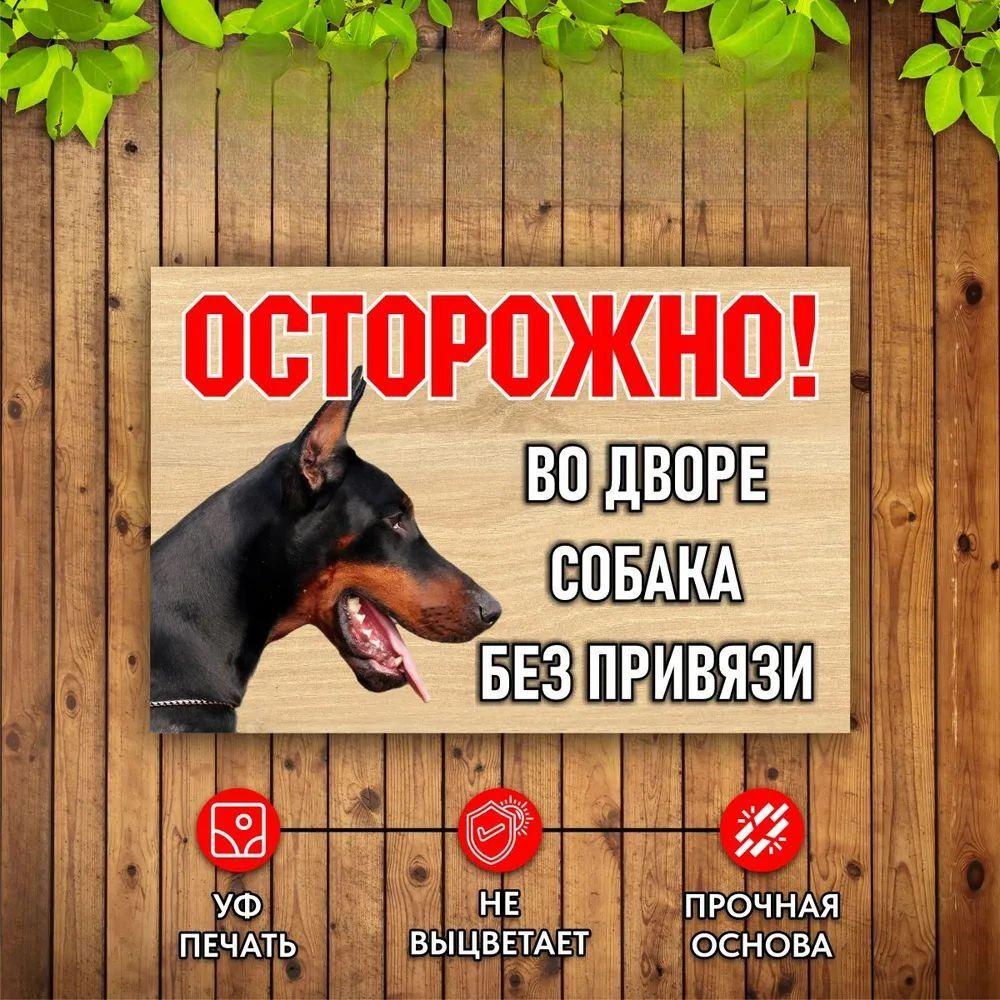 Осторожно Собака во дворе Без поводка
