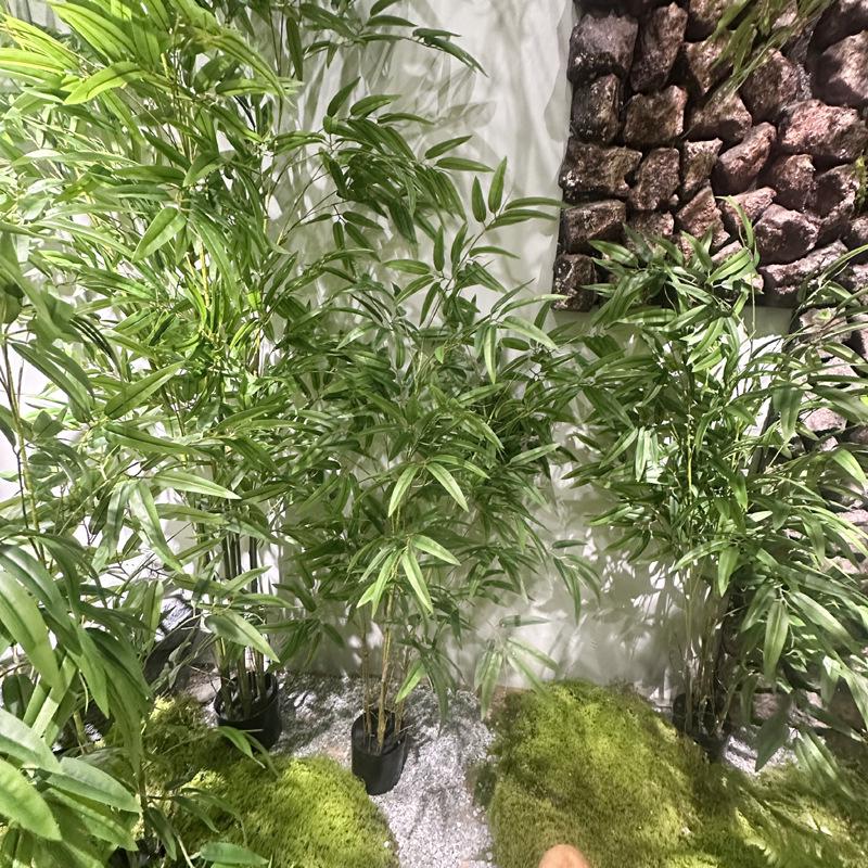 Zen Bamboo Bonsai Decor: Green Bamboo Plant for Home, Office, or Shop. Perfect for Living Room or Entryway.