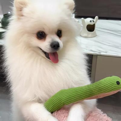 Игрушка для собаки - Змея с трясущейся головой для снятия скуки и развлечения. Игрушка "Кот и Змея" для маленьких и средних собак.
