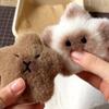 Кулон, милая рыба фугу, плюшевая игрушка, брелок, креативный рюкзак, подвесные украшения, подарок другу