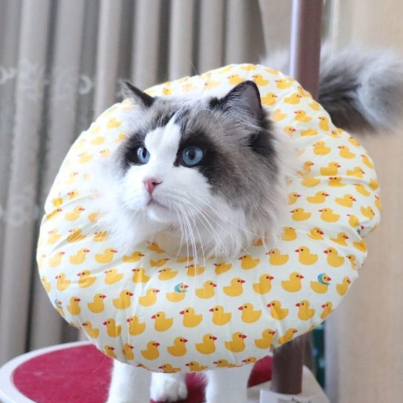 Елизаветинский воротник для кошек, защита от укусов, вылизывания, царапания, мягкий головной чехол, кошка, собака, домашнее животное, стерилизация, позорный конус, хлопковый воротник для шеи