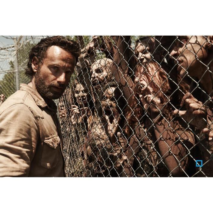 THE WALKING DEAD saison 4 DVD