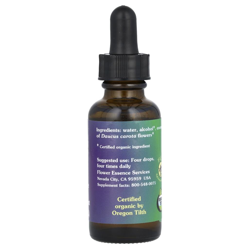 Queen Anne's Lace, Flower Essence, 30Ml(1Fl Oz)