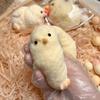 Ручная игрушка-антистресс цыпленок Карманный размер Ультрамягкий цыпленок Сжималка Фиджет-игрушка Снятие тревоги Цыпленок Зажим Сенсорная игрушка Пасхальные наполнители