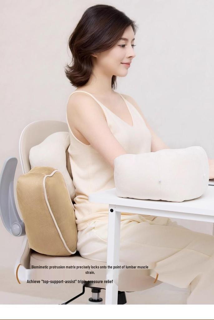 Ergonomic Lumbar Support Pillow for Office Chair and Workstation - for Sitting or Lying Down