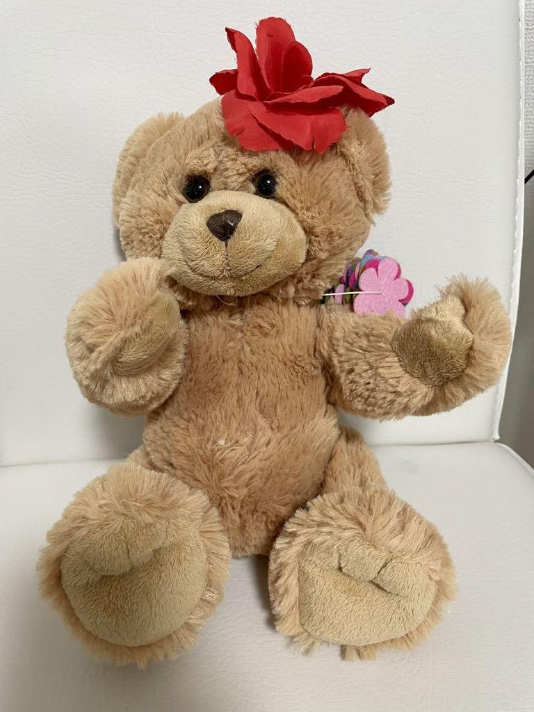 [USED] Stuffed Teddy Bear