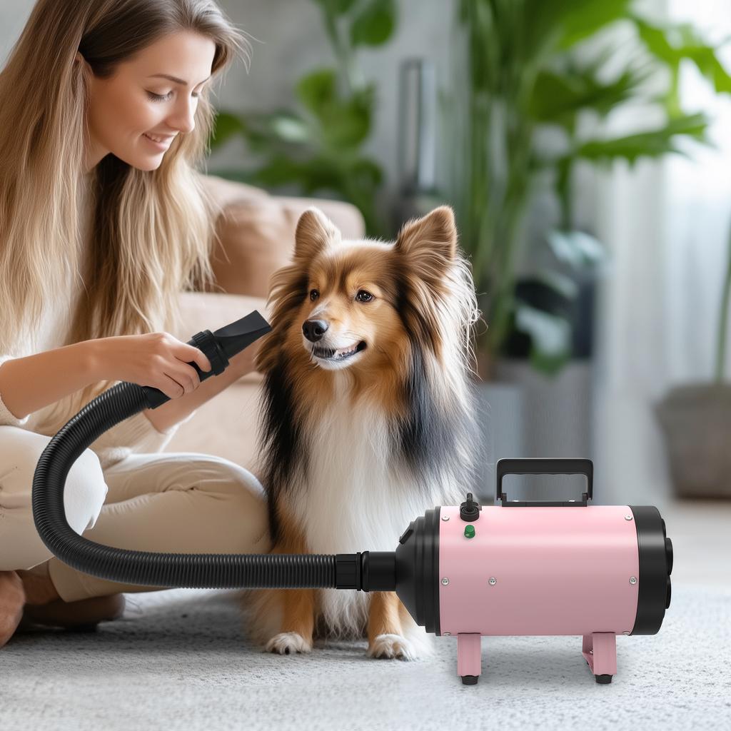 2200W Dog Hair Dryer with Adjustable Temperature & Velocity, 3 Different Nozzles, Pink