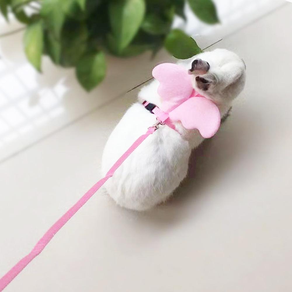 Angel Pet, Шлейка-поводок Callduck, подходит для кошек, кроликов, уток-подcall, домашних кур, черепах, шлейка для мелких животных, подарок