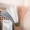 10PCS/Set DIY Boho Decor Flower Home Decor Fake Plant Reed Fluffy Pampas Grass  Wedding Party