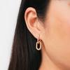 Серьги-цепочка Daniel Wellington с кристаллами Кольцо-цепочка Женские серьги