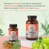 Organic India Triphala Capsules 60 Caps Pack of 2 for Digestive Health Gut Comfort and Wellness
