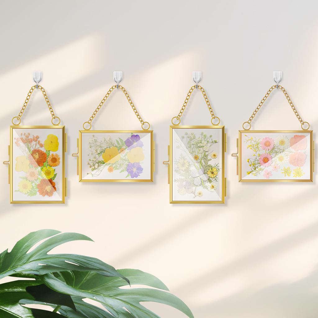 4Pcs Glass Frame Picture Hanging Frames Double Glass Frame Floating Photo Frame Wall Decor Pressed Flower Frames Home Decor