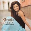 CD SHANIA TWAIN - Greatest Hits 9863141 Mercury 2004 US Rock Used
