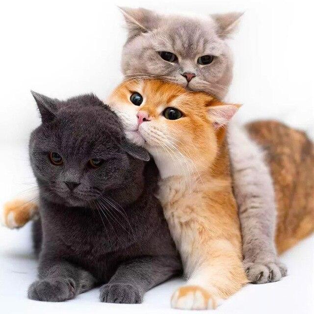 5d Diy Алмазная картина Мандала Алмазная вышивка Крестиком Цветочные картинки Стразы Мозаика Decortion