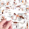 Waterproof Yoga Posture Stickers, 80 Sheets, for Dance Training & Body Shaping Wall or Desktop Decoration