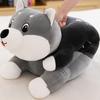 Cute Husky Plush Pillow with Sweet Messages Soft Stuffed Animal Huggable Floppy Dog Doll